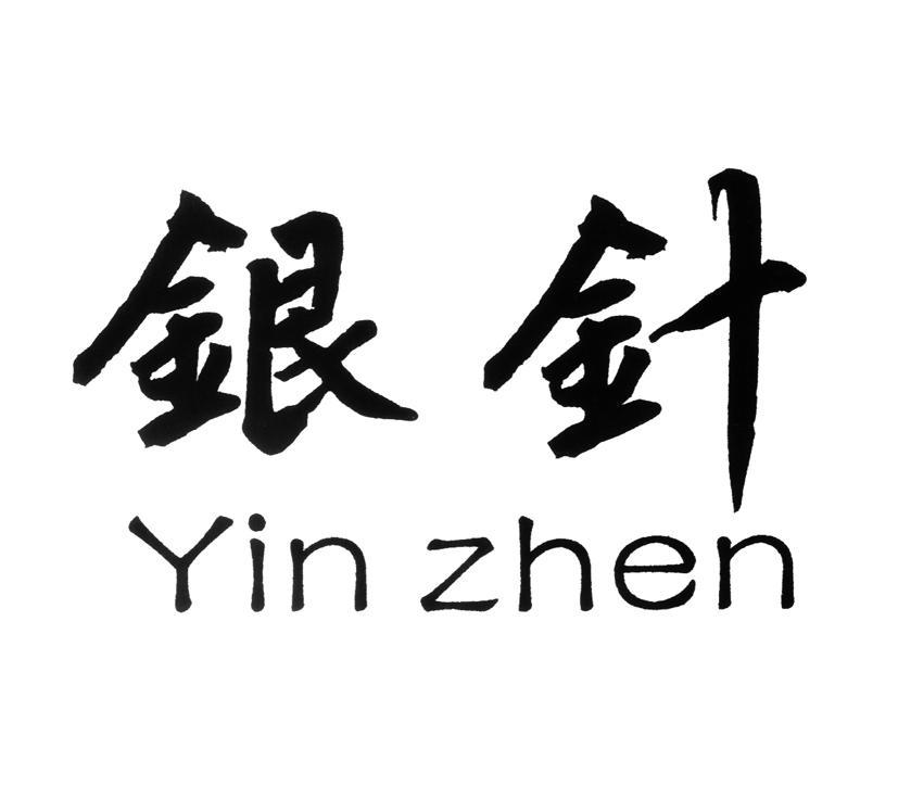 银针