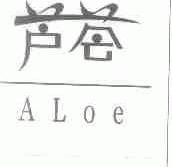 芦荟;ALOE