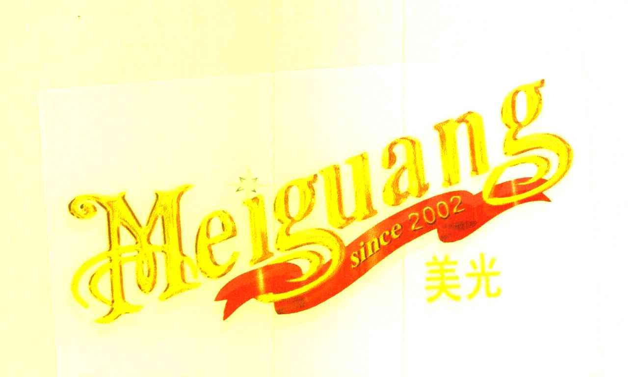 美光 SINCE 2002