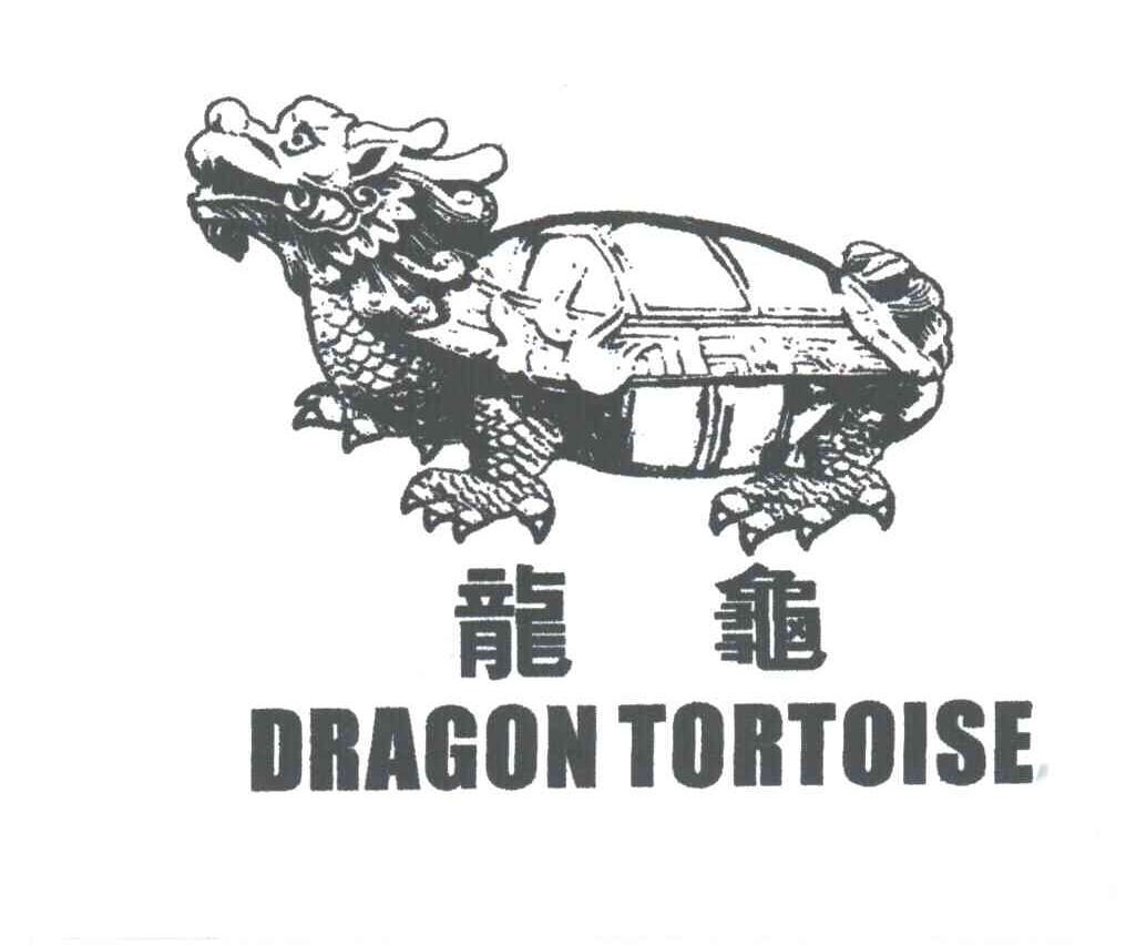 龙龟;DRAGON TORTOISE
