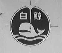 白鲸