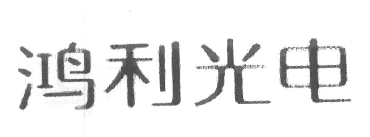 鸿利光电