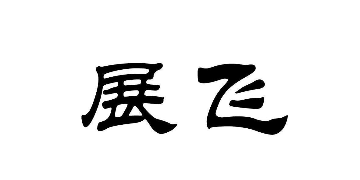 展飞