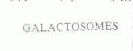 GALACTOSOMES