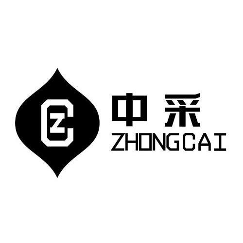 中采