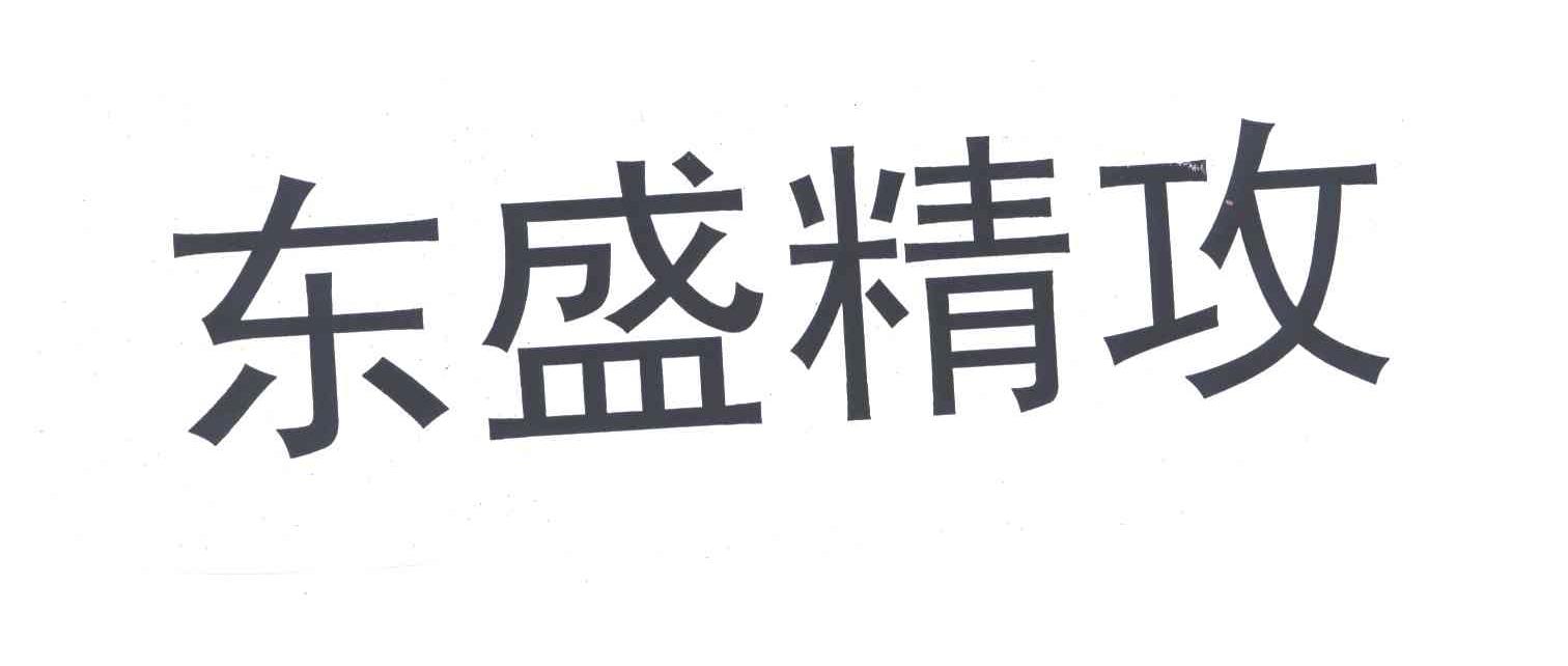 东盛精攻