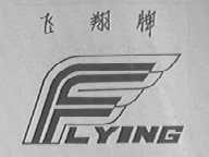 飞翔 YFLYING