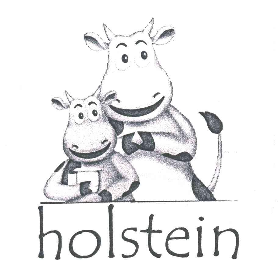HOLSTEIN