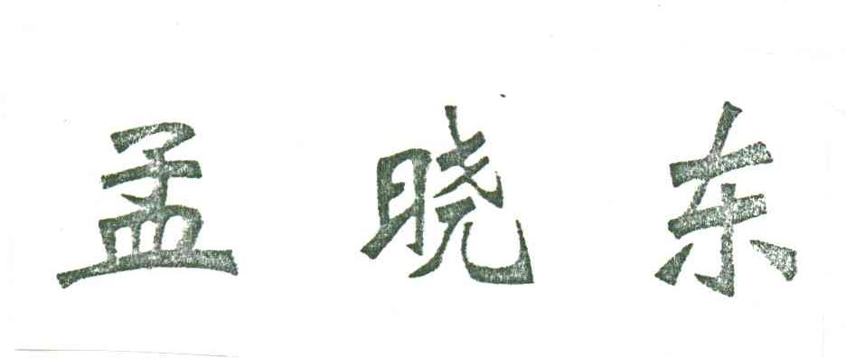 孟晓东