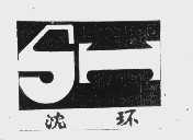 沈环