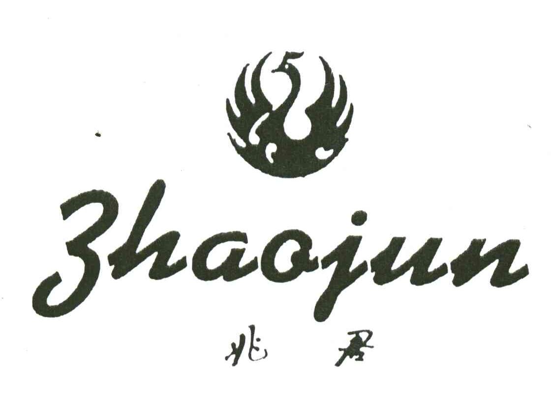兆君