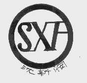 沈新