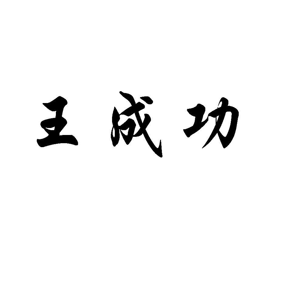 王成功