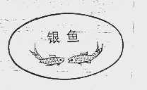 银鱼
