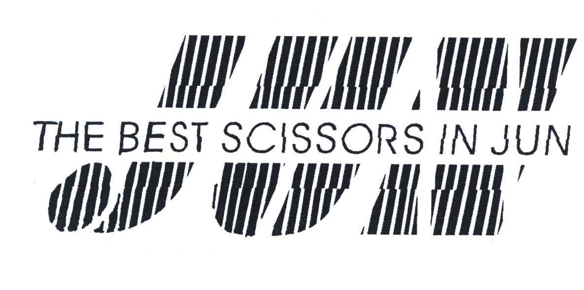 THE BEST SCISSORS IN JUN;JUN