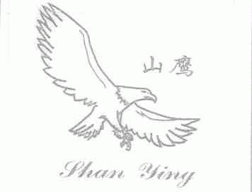 山鹰