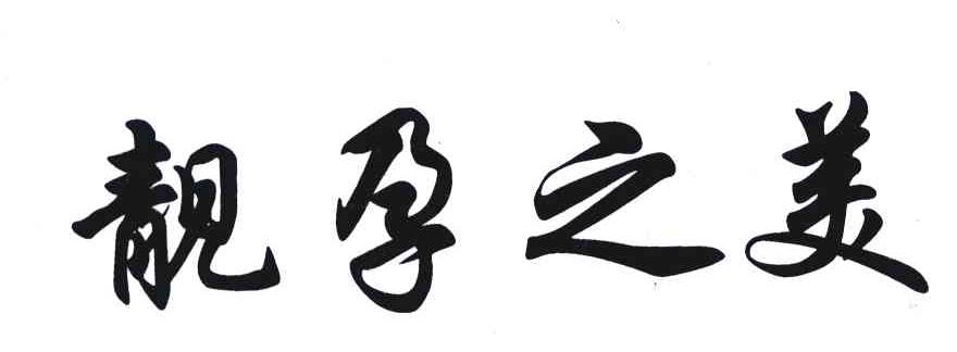 靓孕之美