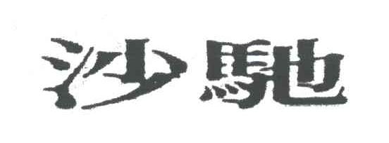 沙驰