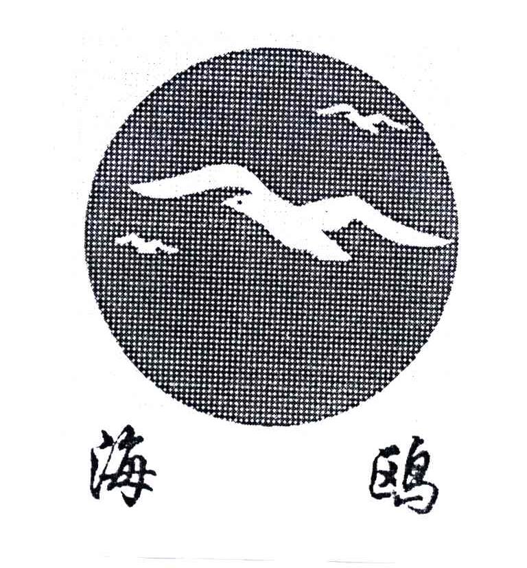 海鸥