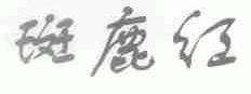 斑鹿