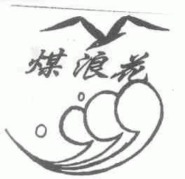 煤浪花