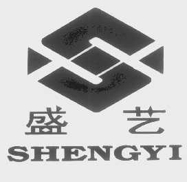 盛艺