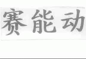 赛能动