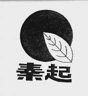 秦起