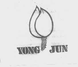 YONG JUN