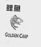 鲤鱼 GOLDEN CARP