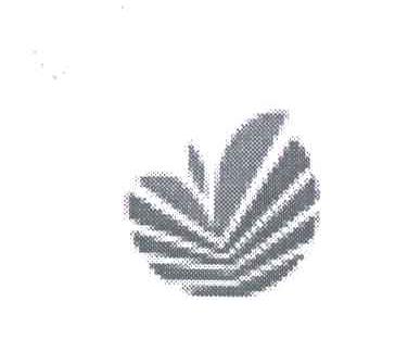 图形