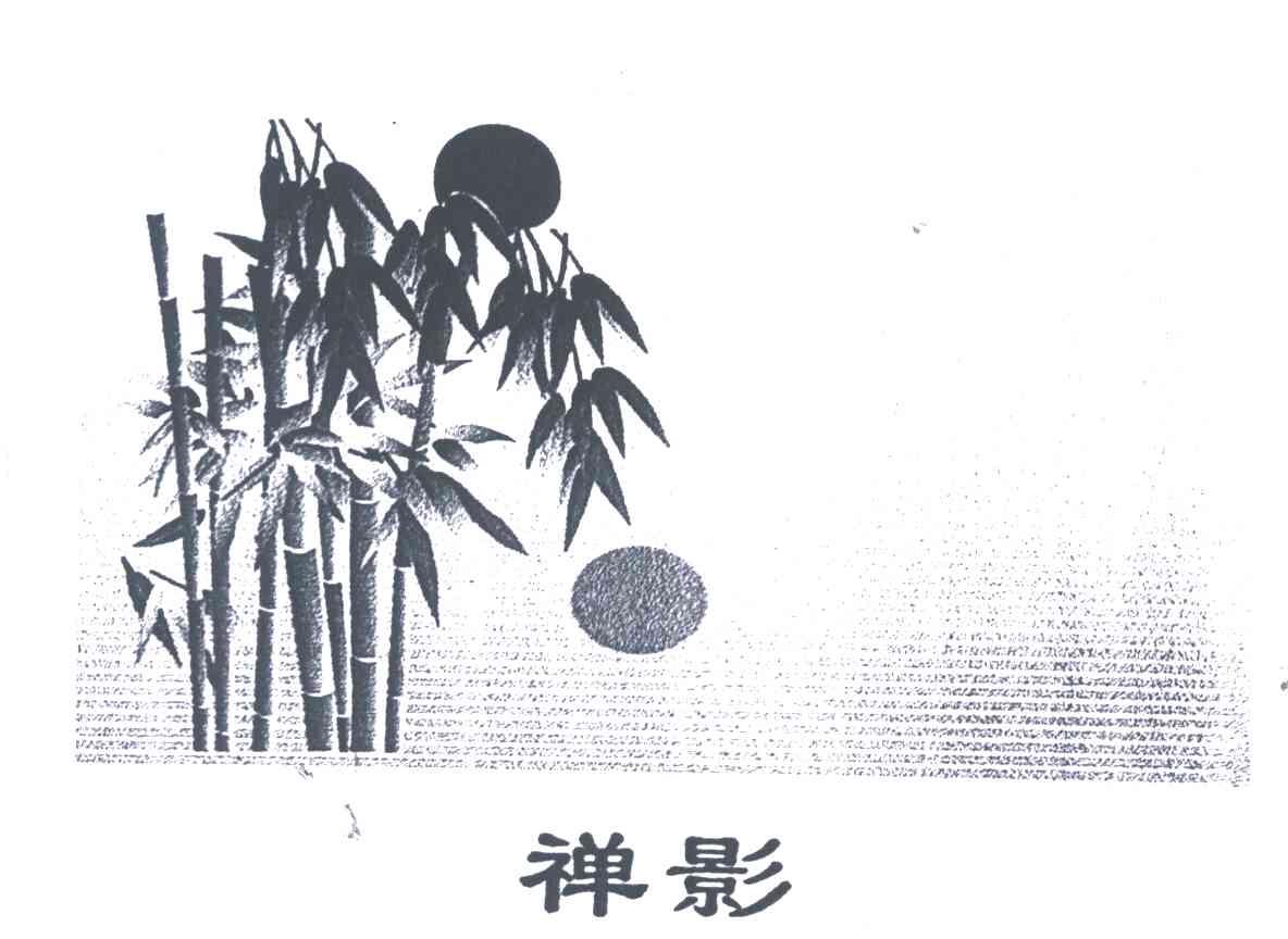禅影