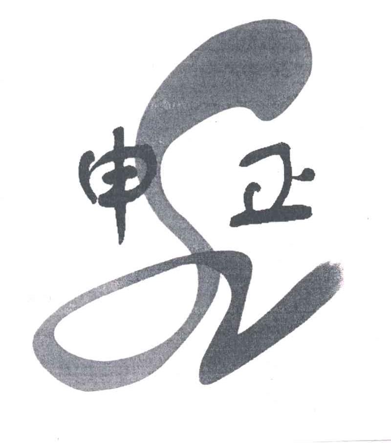 申正及图