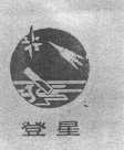 登星