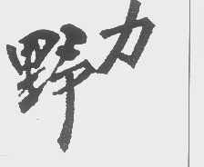 野力
