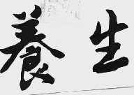 养生