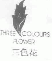 三色花;THREE COLOURS FLOWER