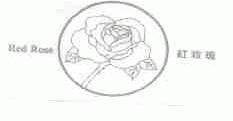 红玫瑰;RED ROSE