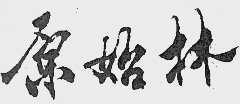 原始林