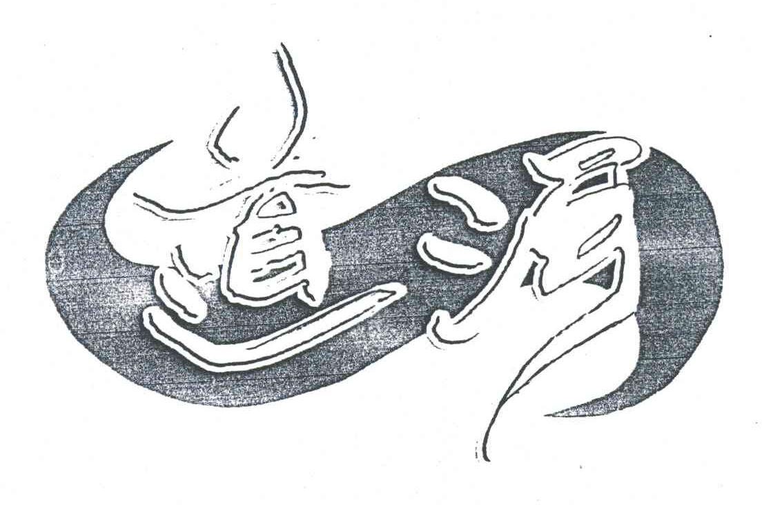 道河