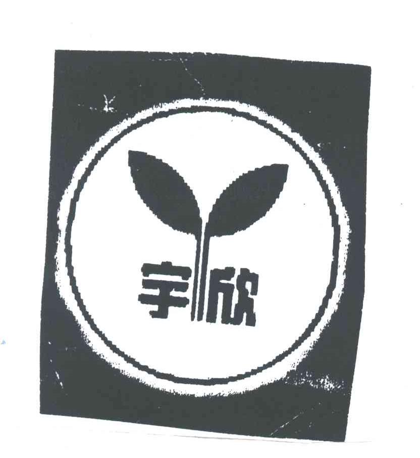宇欣