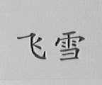 飞雪