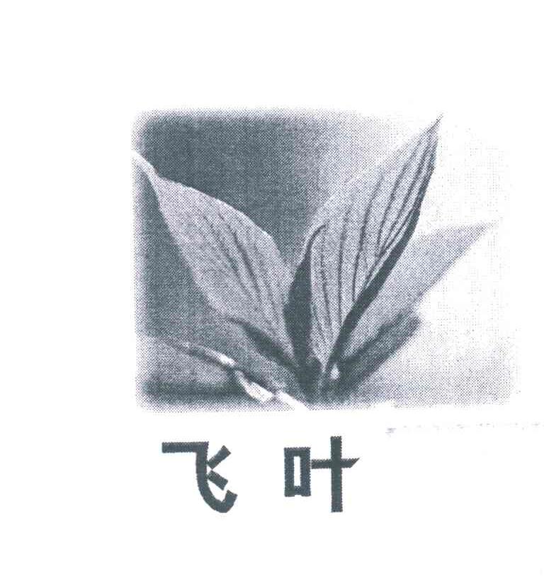 飞叶及图
