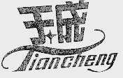 天成