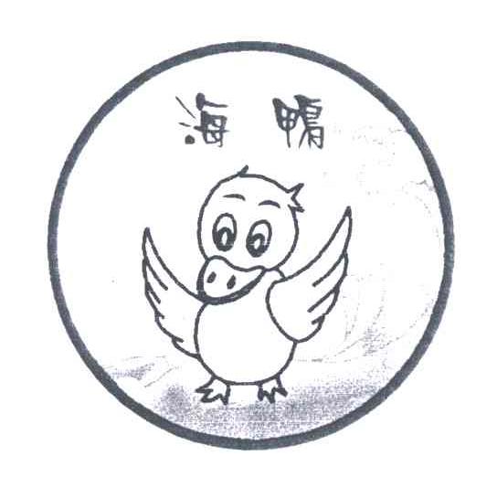 海鸭