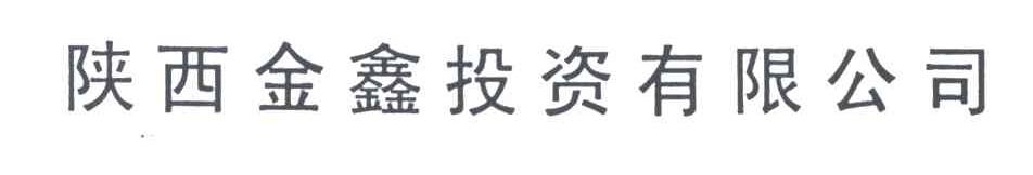陕西金鑫投资有限公司