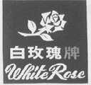 白玫瑰  WHITE ROSE