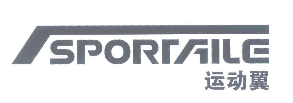 运动翼;SPORTAILE