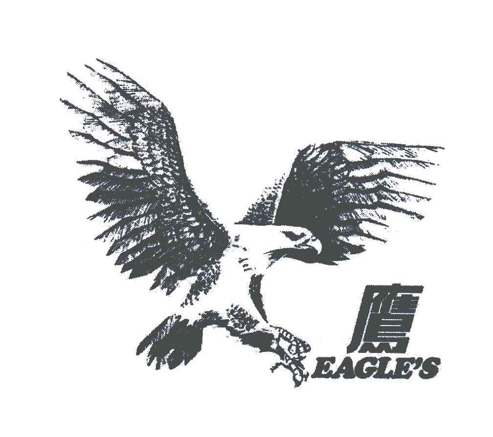 鹰;EAGLE＇S