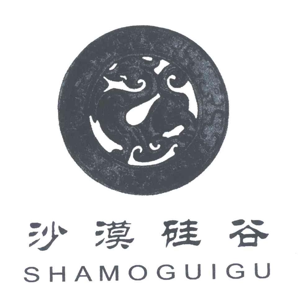 沙漠硅谷
